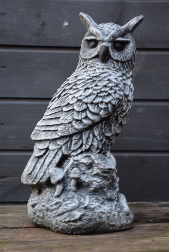 Betonnen tuinbeeld van een uil die op een steen zit, met gedetailleerde veren.