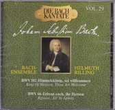 Die Bach Kantate vol. 29, BWV 182 en 66 - Johann Sebastian Bach - Bach-Ensemble o.l.v. Helmuth Rilling