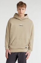 O'neill Truien AGUAZUL HOODIE