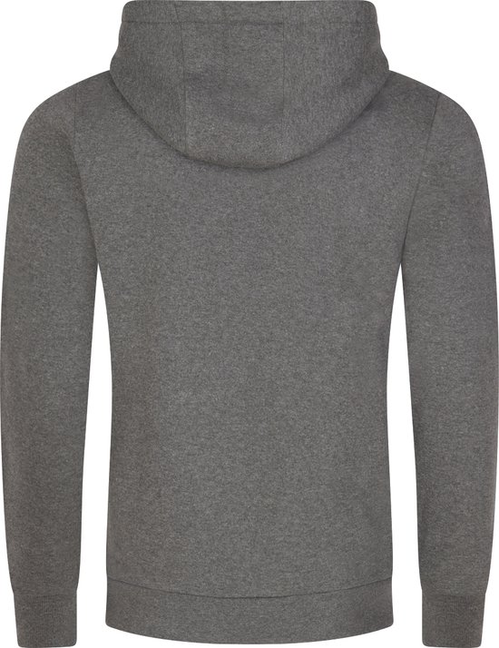 Achterkant van een effen grijze hoodie van DENIMFY met capuchon.