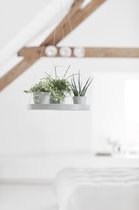 Ecopots Hanging Saucer - White Grey - Ø36 x H3 cm - Ronde witgrijze onderschotel voor hangpotten