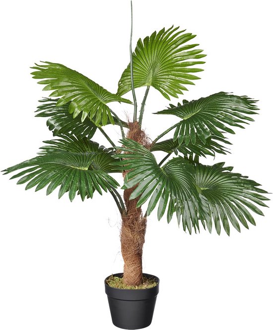 Kunstplant Fan palm H100cm - HTT Decorations