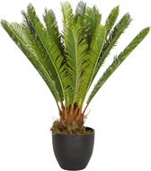 Kunstplant Cycas palm hoogte 70 cm groen 24 palmbladeren kunstpalm klein cycaspalm palmvaren kunststof, 871004