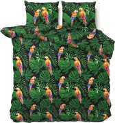 Lits-jumeaux dekbedovertrek (dekbed hoes) groen met planten / bladeren en gekleurde tropische vogels (papegaai / papagaai) gemengd katoen 240 x 220 cm (natuur slaapkamer beddengoed)
