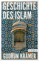 Beck Paperback 6549 - Geschichte des Islam
