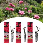 NatureNest - Grootbloemige Roos - Rosa 'Peace' - Roze - 3 stuks - 35-38 cm