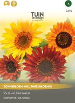 Tuin de Bruijn® zaden - Zonnebloem mix - prachtige avondzonnebloemen van ca. 180 cm hoog - ca. 50 zaden