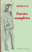livre numérique
