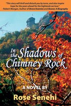 A Blue Ridge Series Novel 1 - In the Shadows of Chimney Rock