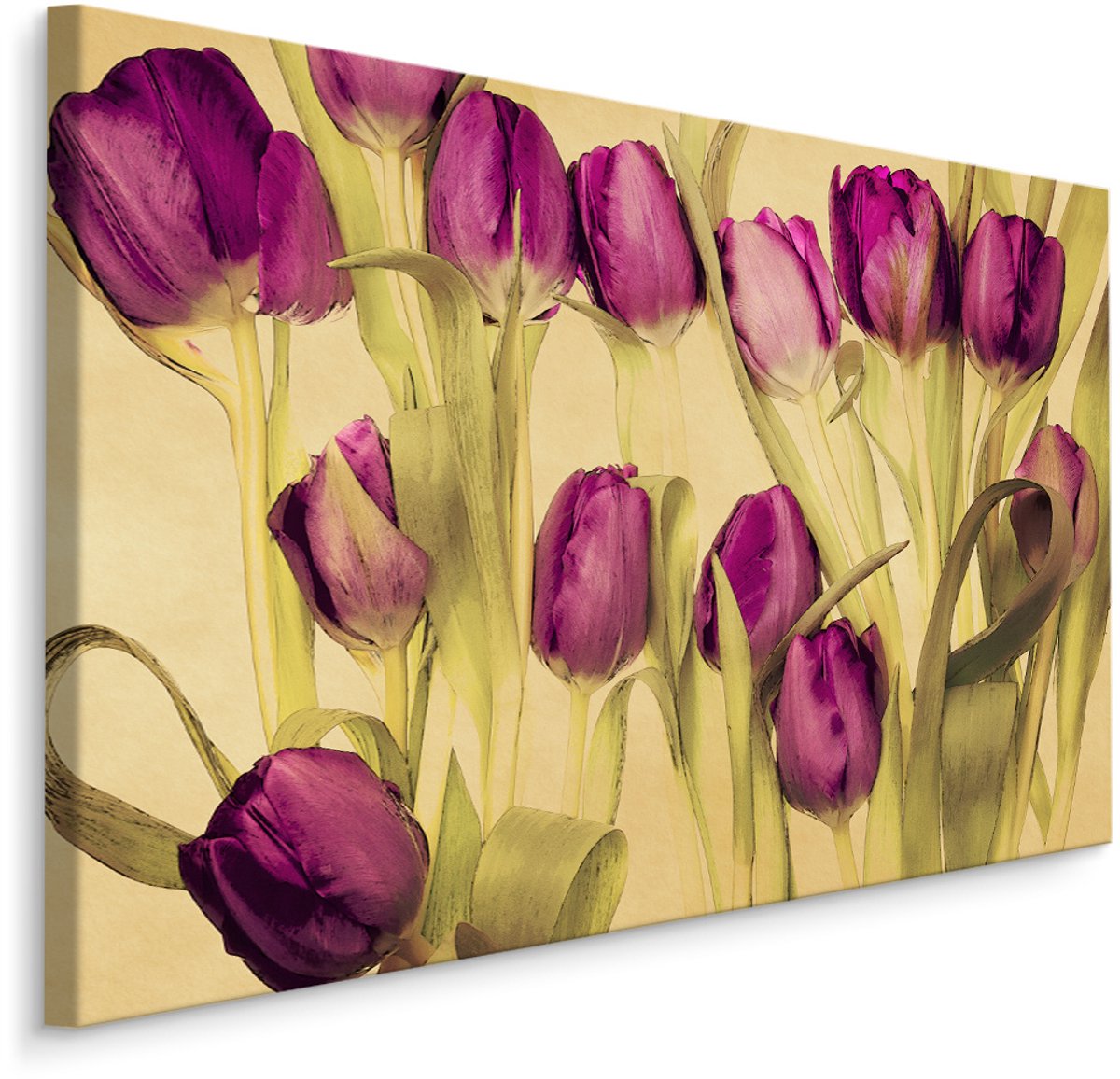 karo-art Schilderij Paarse tulpen (print op canvas), 4 maten, wanddecoratie Multikleur