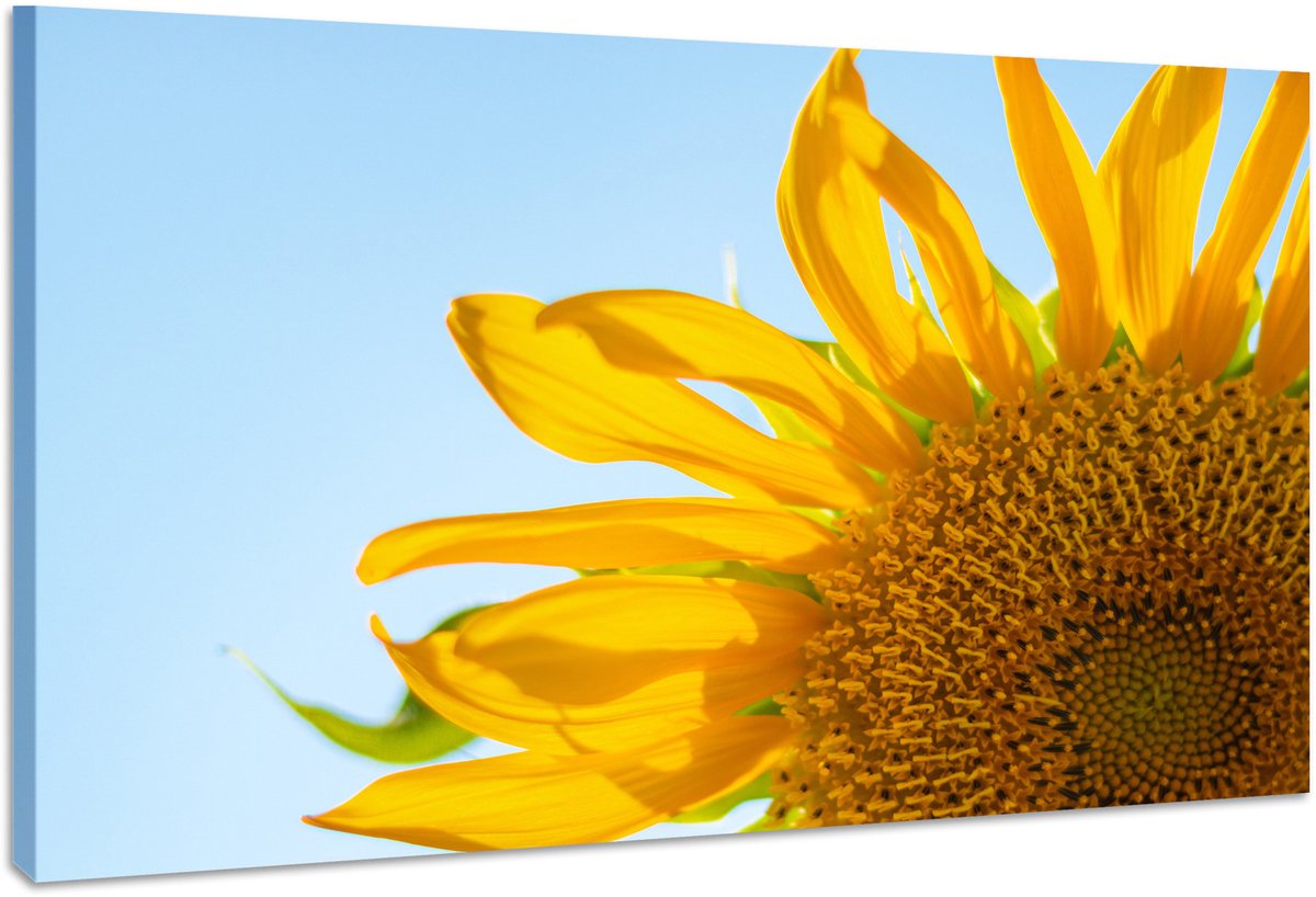 karo-art Schilderij - Zonnebloem in Close up, Geel, blauw, premium print, wanddecoratie Multikleur