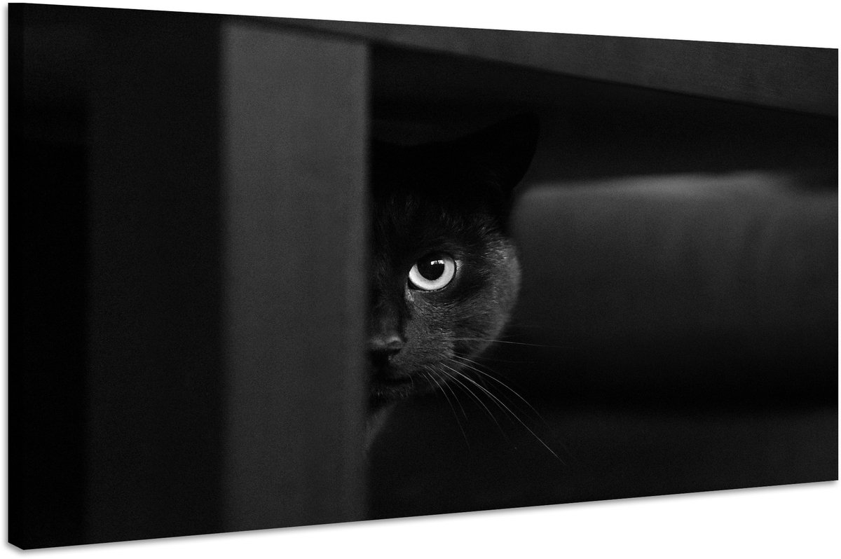 karo-art Schilderij - Geheimzinnige Kat, zwart/wit, Wanddecoratie, Premium Print Multikleur