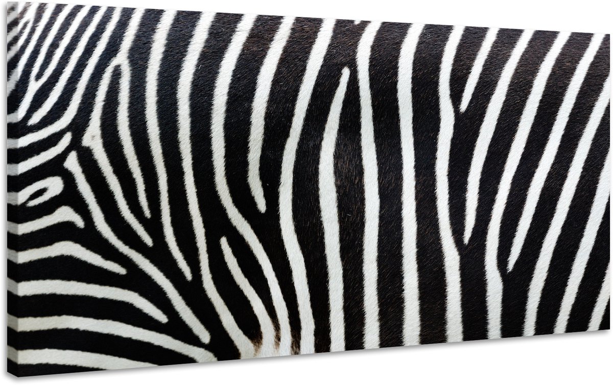 karo-art Schilderij - Zebra Strepen, zwart/wit, Premium print Multikleur