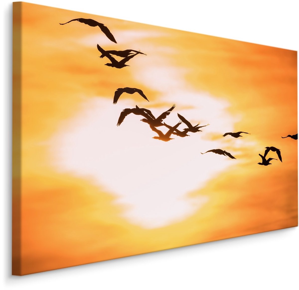 karo-art Schilderij - Aalscholvers bij zonsondergang, Premium Print Multikleur