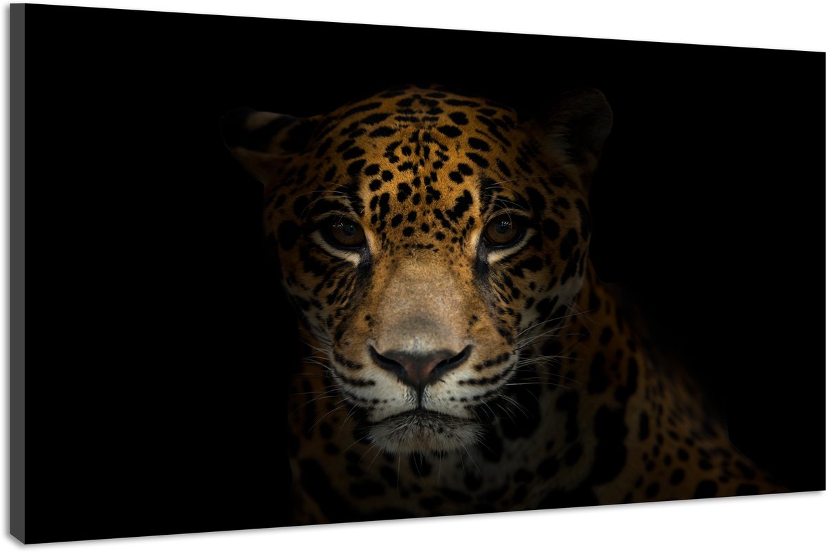 karo-art Schilderij -Luipaard in het donker , 100x70cm, premium print Multikleur