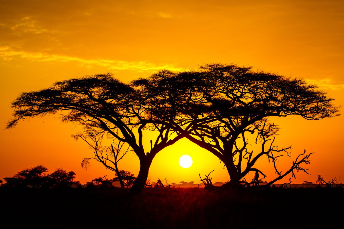karo-art Schilderij - Zonsondergang in Afrika , 2 maten , Oranje zwart , Wanddecoratie Multikleur