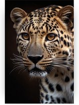 Luipaard donker portret poster - Luipaard poster - Poster wilde dieren - Moderne posters - Poster slaapkamer - Decoratie woonkamer - 80 x 120 cm