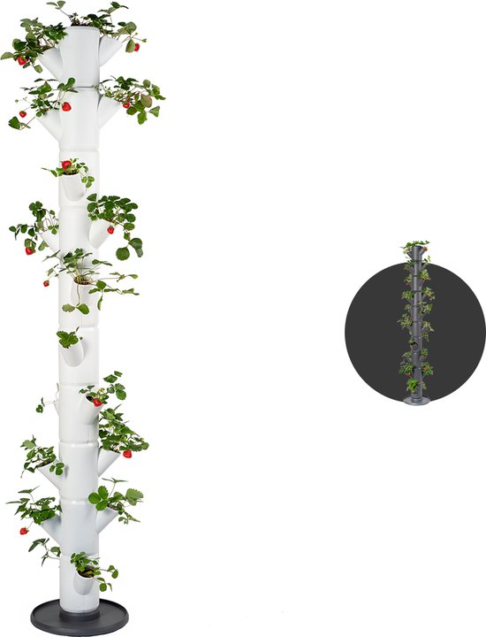 Plantentoren - Aardbeienpot - SISSI STRAWBERRY - Infinity voor 21 aardbeiplanten - 185 cm hoog (wit)