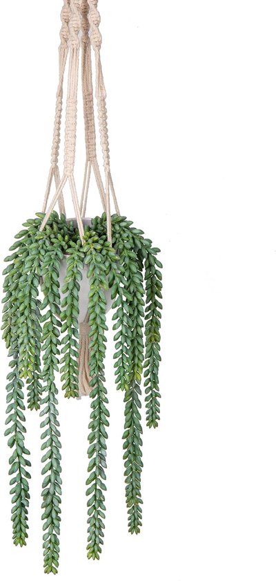 Coolplant Kunstplant Hangvaren 35 cm