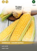 Tuin de Bruijn® zaden - Suikermais Golden Bantam - Heerlijk zoete mais - ca. 12 zaden