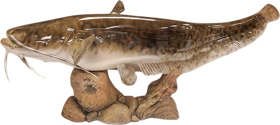 3D Real Fish Trophy Meerval 106 cm Levensecht Beeld Catfish Meervalbeeld Trofee Meervalwedstrijd Vis