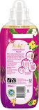 Robijn Tropical wasverzachter met afbeelding van een teddybeer en tropische planten. Wasverzachter 825 ml.