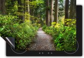 Chefcare Inductie Beschermer Voetpad in het Bos - 80x52 cm - Afdekplaat Inductie - Kookplaat Beschermer - Inductie Mat