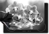 Chefcare Inductie Beschermer Roze Orchidee Bloemen - Zwart Wit - 75x50 cm - Afdekplaat Inductie - Kookplaat Beschermer - Inductie Mat