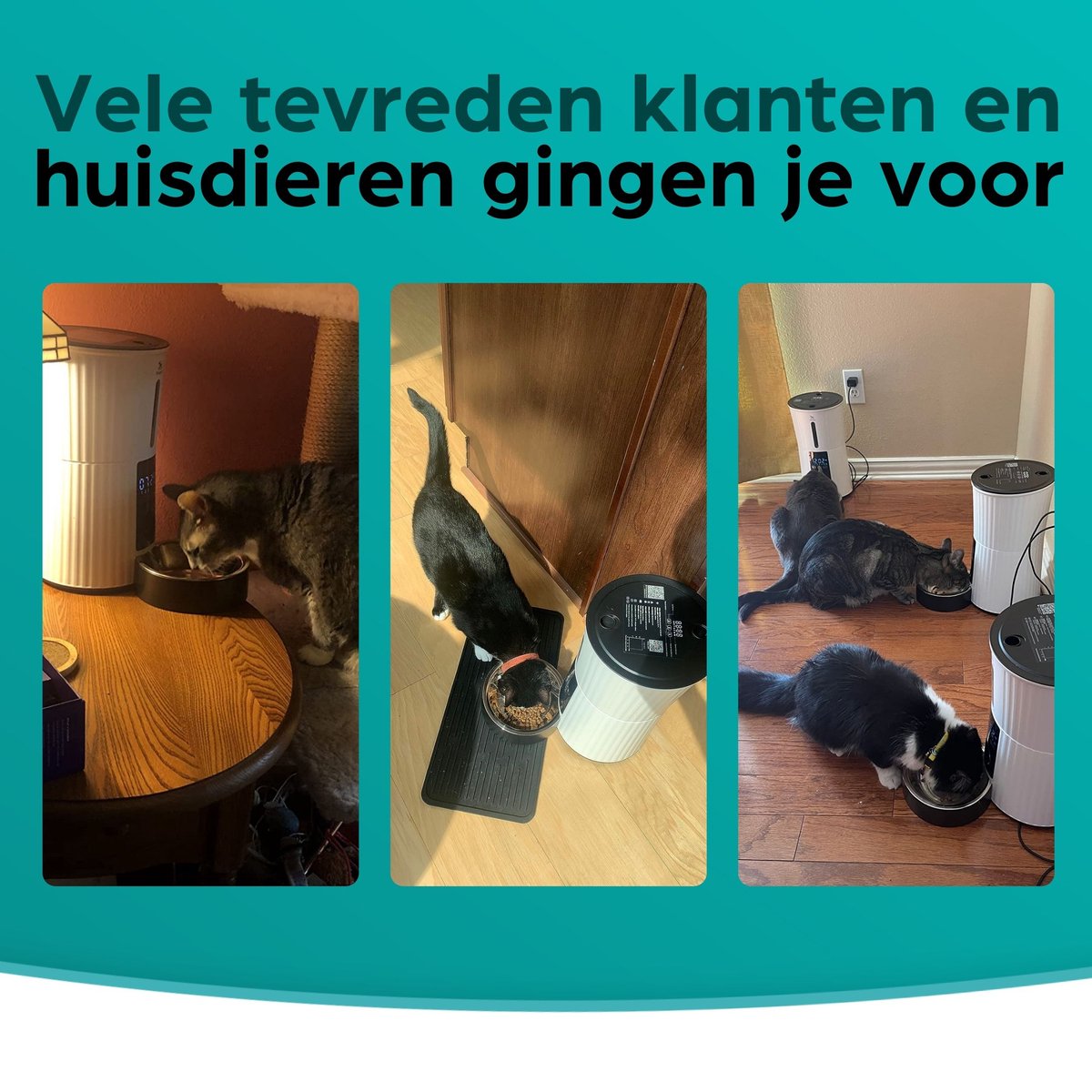 Filo Slimme Voerautomaat thumbnail 6