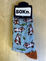 SOKn. Trendy sokken *CAVIA'S* maat 35-41 (ook leuk om kado te geven !)