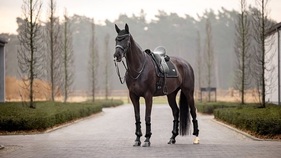 Foto: Equitare zadeldek velvet cobalt full dressuur fluweel blauw