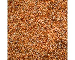 Binnenvogel- Vogelvoer- Panis Rood- Panicum zaad rood- Senegal Rood- 2 kilo
