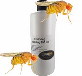 250ml - Fruitvliegjes - lokstof van PestiNext