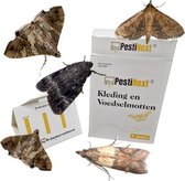 5 stuks - Multi Mottenval - PestiNext - Motten bestrijden - feromoon mottenval - Motten vangen - Mottenvanger