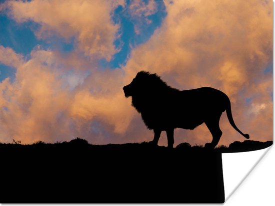 Silhouet van een leeuw tijdens zonsondergang Poster 80x60 cm - Foto print op Poster (wanddecoratie woonkamer / slaapkamer) / Wilde dieren Poster