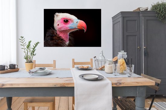 portrait vautour coloré sur fond noir poster papier 120x80 cm - Tirage photo sur Poster (décoration murale salon / chambre) / Poster en gros plan