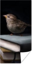 Affiche Vogel - Boeken - Portrait - 60x120 cm