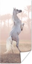 Poster Paard - Zand - Palmboom - 20x40 cm
