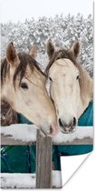 Poster Paarden - Deken - Sneeuw - 20x40 cm