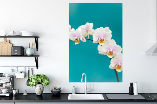 Affiche Orchidée - Fleurs - Plante - Wit - Violet - 80x120 cm