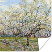 Poster Boomgaard in bloei - Vincent van Gogh - 30x30 cm
