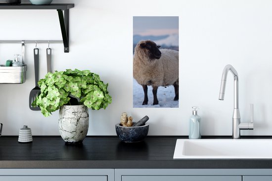 Poster Mouton - Neige - Berg - 20x40 cm