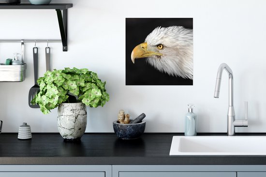 Affiche Aigle - Vogel - Bec - Yeux - 30x30 cm