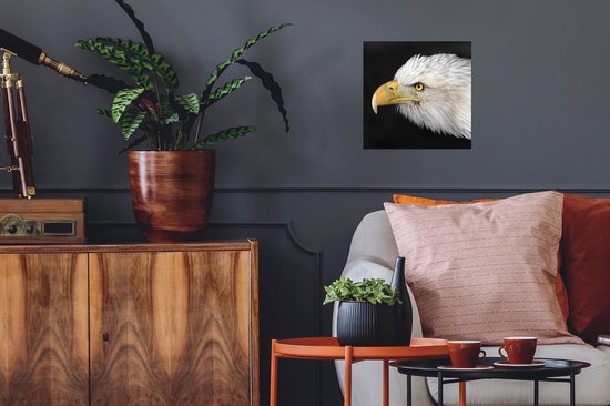 Affiche Aigle - Vogel - Bec - Yeux - 30x30 cm