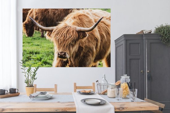 Affiche Highlander écossais - Animaux - Herbe - 180x120 cm XXL