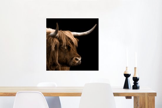 Affiche Highlander écossais - Animaux - Vache - 50x50 cm