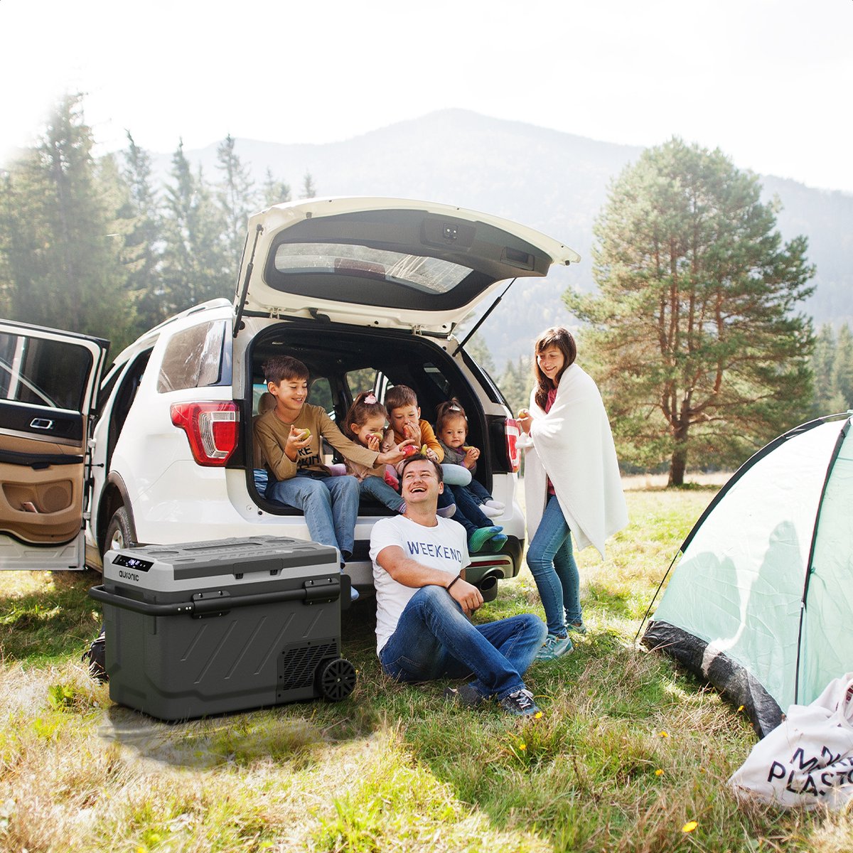 Auronic Compressor Koelbox Elektrisch 12V en 230 volt - Camping Koelkast - Auto - Vriezen en Koelen - 49L - Frigobox - Grijs – foto 6