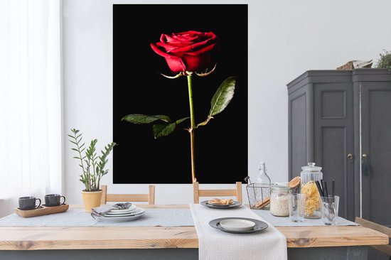 Affiche Une rose rouge sur fond noir 120x160 cm - Tirage photo sur Poster (décoration murale salon / chambre) XXL / Groot format!