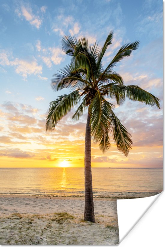 Palmboom op het strand bij zonsondergang 20x30 cm - klein / Zee en Strand - Foto print op Poster (wanddecoratie woonkamer / slaapkamer)