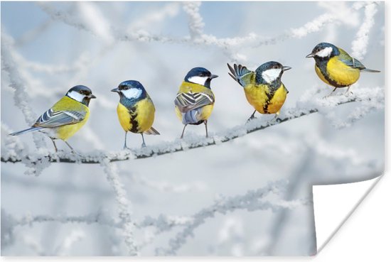 Poster Vogel - Koolmees - Winter - Sneeuw - Takken - 30x20 cm